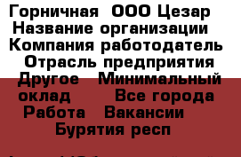 Горничная. ООО Цезар › Название организации ­ Компания-работодатель › Отрасль предприятия ­ Другое › Минимальный оклад ­ 1 - Все города Работа » Вакансии   . Бурятия респ.